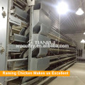 Tianrui New Raising Equipment H Frame Automatic Broiler Cage System